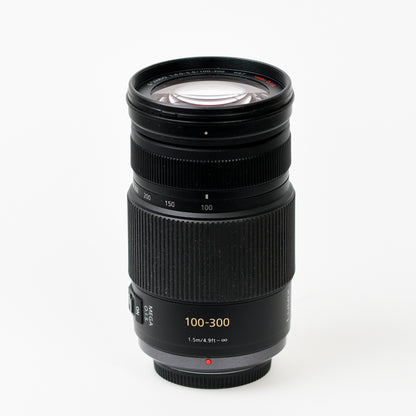 Panasonic Lumix G Vario 100-300mm f/4.0-5.6 Mega O.I.S Lens